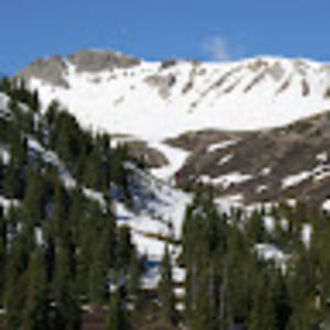 Meet your Posher, Richard